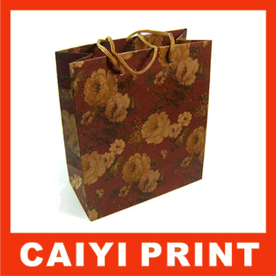 Craft paper Bags