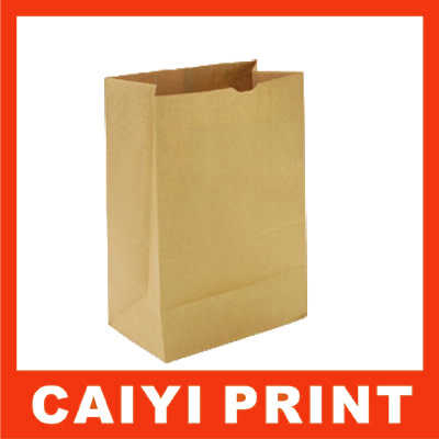 Craft Paper Bags