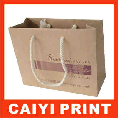 Craft Paper Bags