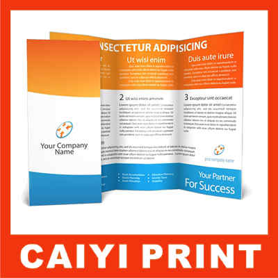 Printed Brochures