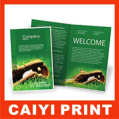Printed Brochures