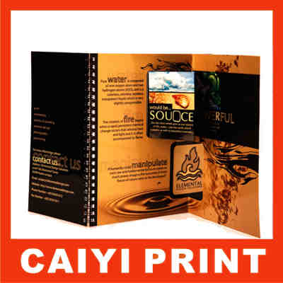 Printed Brochures