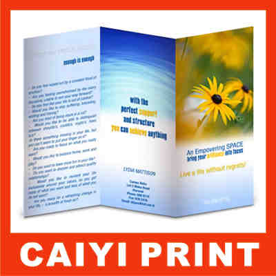 Printed Brochures