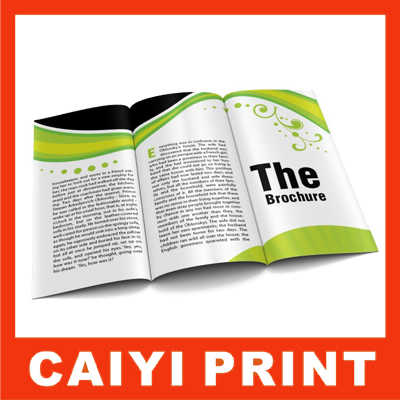 Printed Brochures