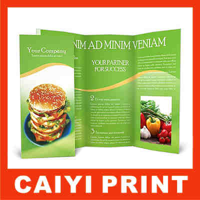 Printed Brochures